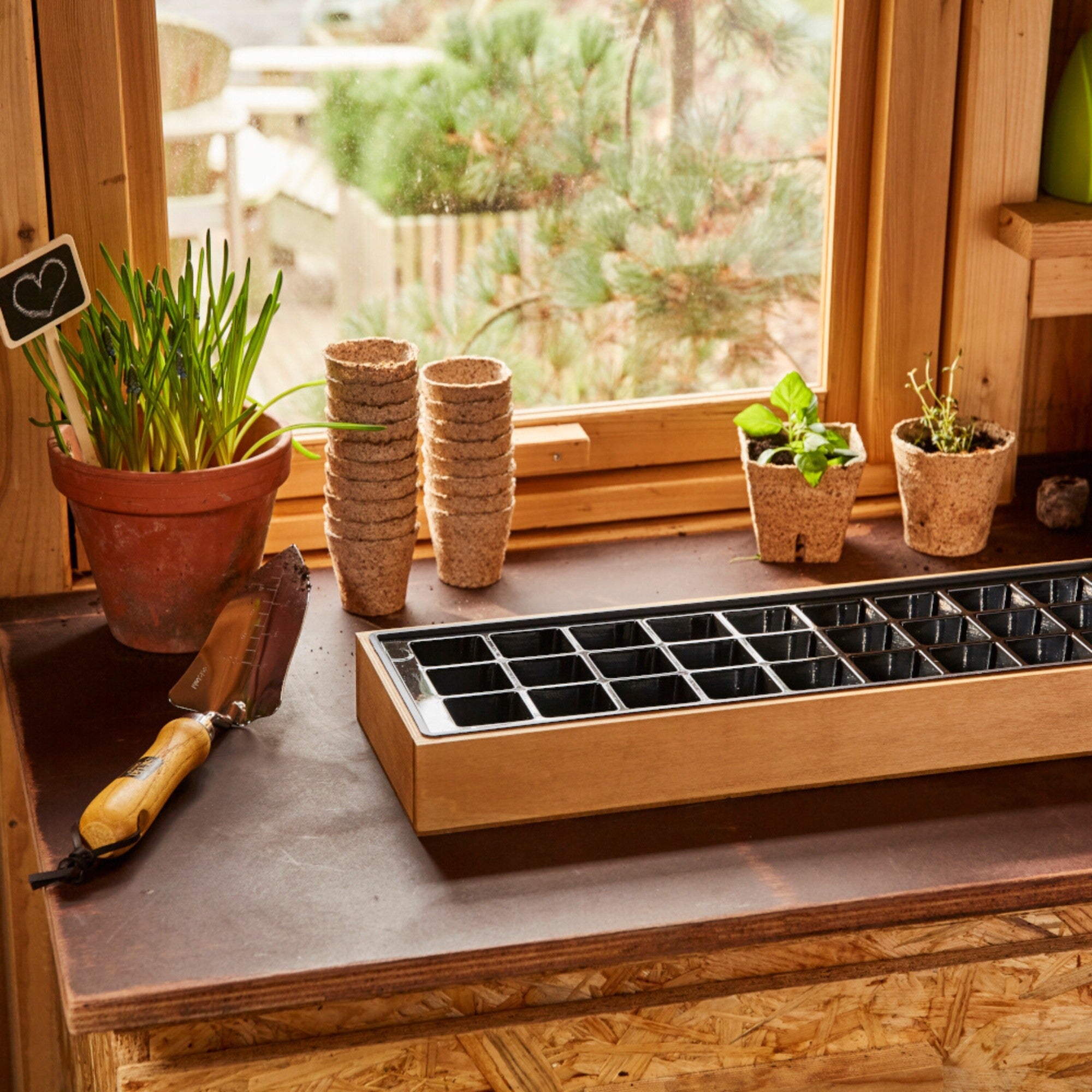 SIENA GARDEN Anzuchtkiste inkl. Topfplatte, Holz