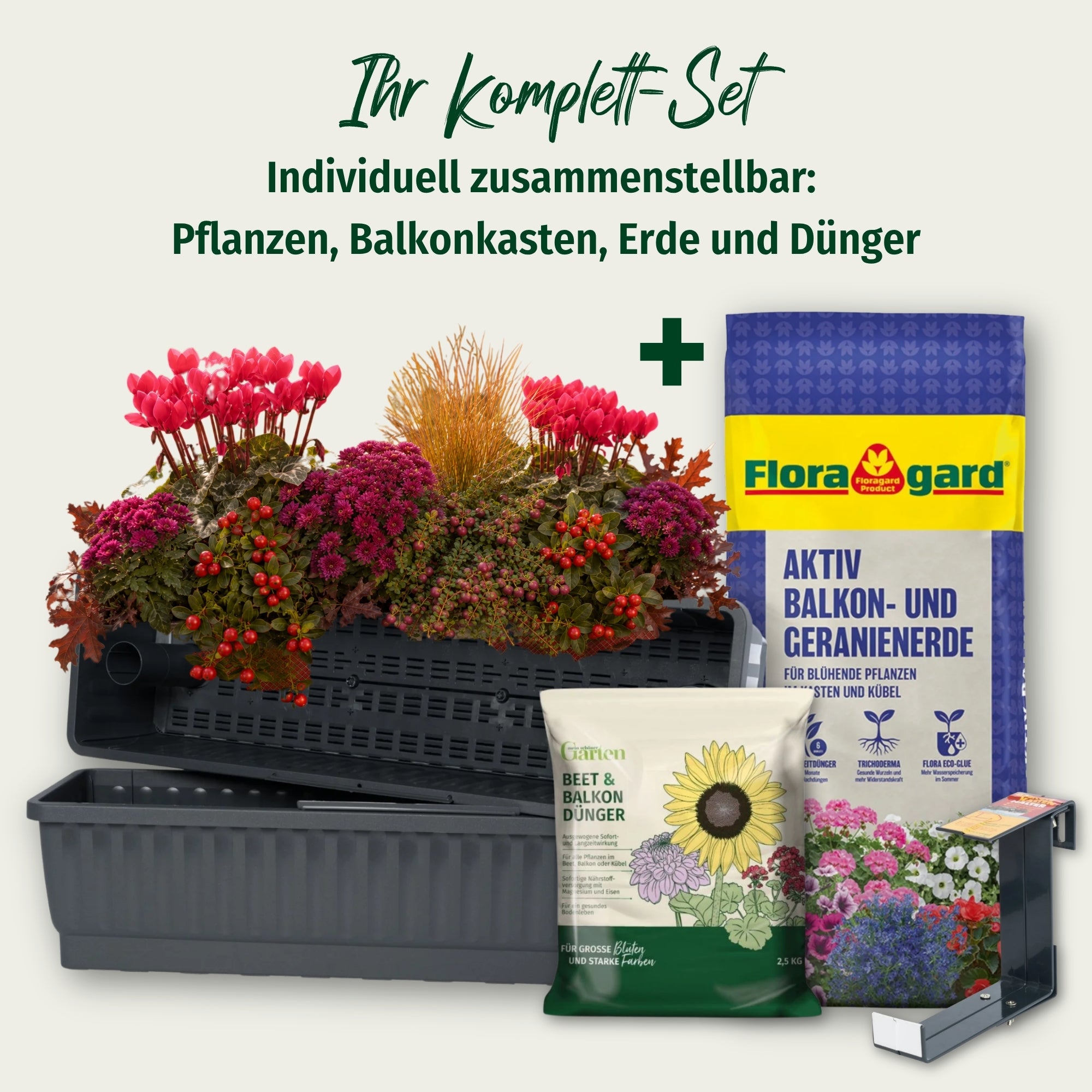 Balkonblumen "Herbstwunder"