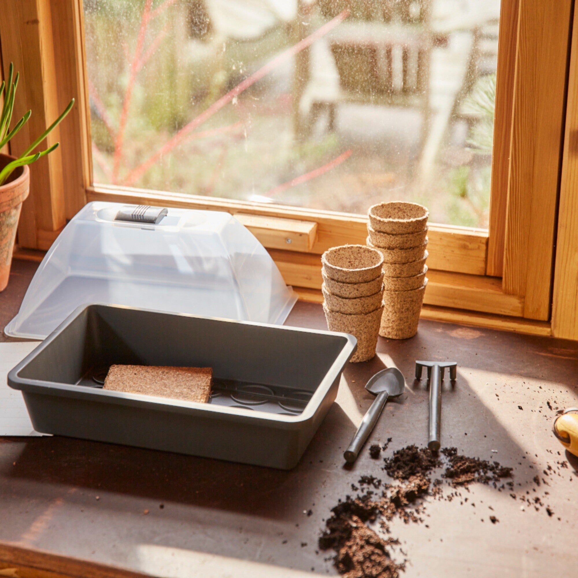 SIENA GARDEN Anzucht Starter-KIT