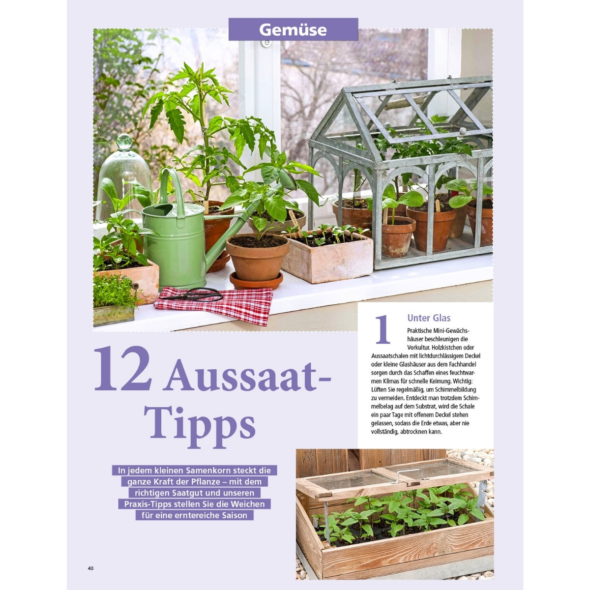 Zeitschrift Mein schöner Garten Spezial 'Küchengarten' 01/26