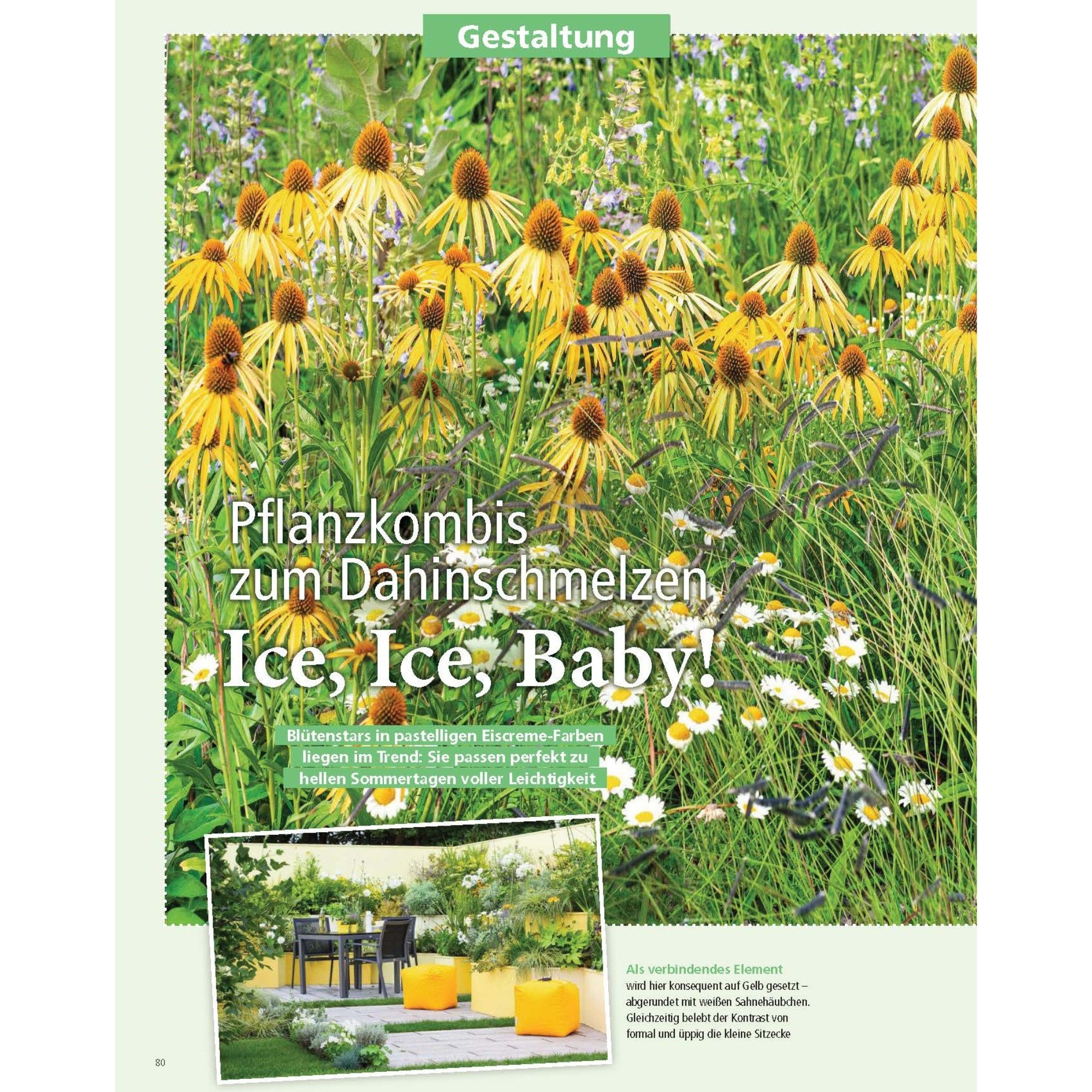 Zeitschrift Mein schöner Garten Spezial 'Beetideen' 02/26