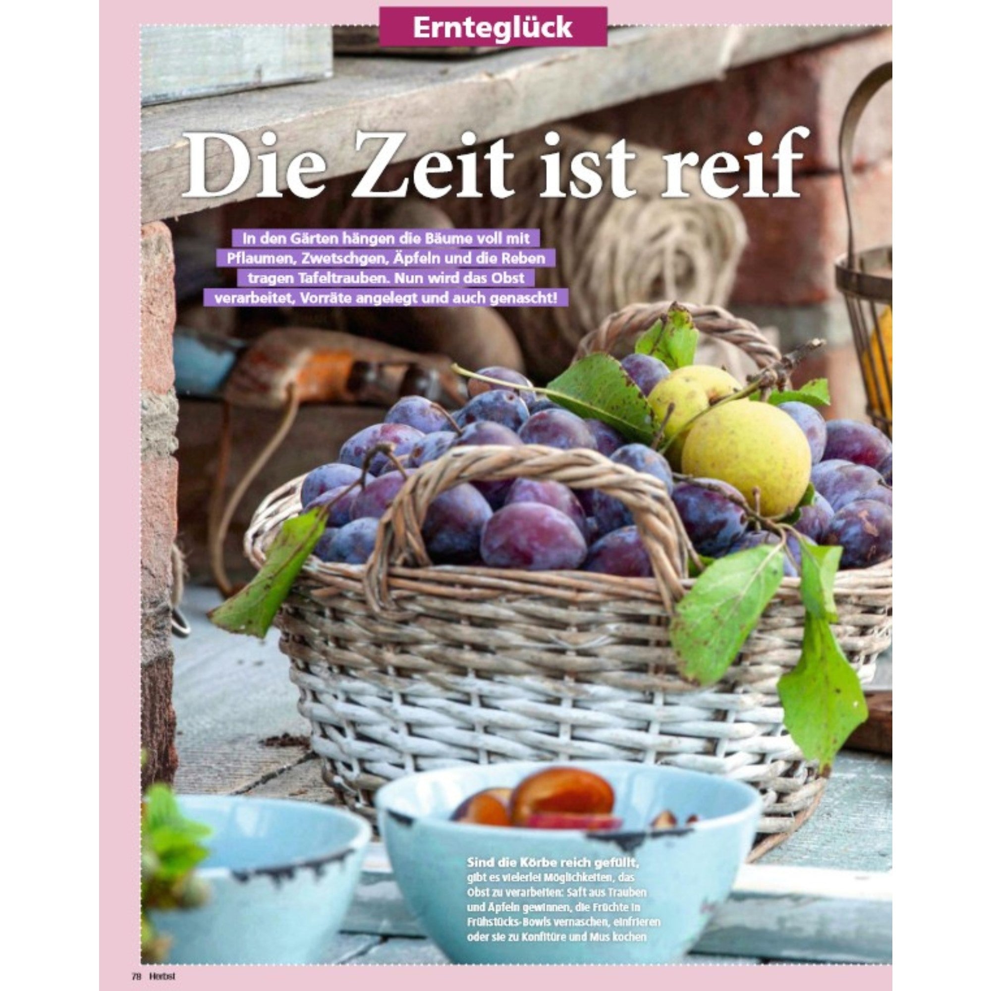 Zeitschrift Mein schöner Garten Spezial 'Herbstideen' 04/25