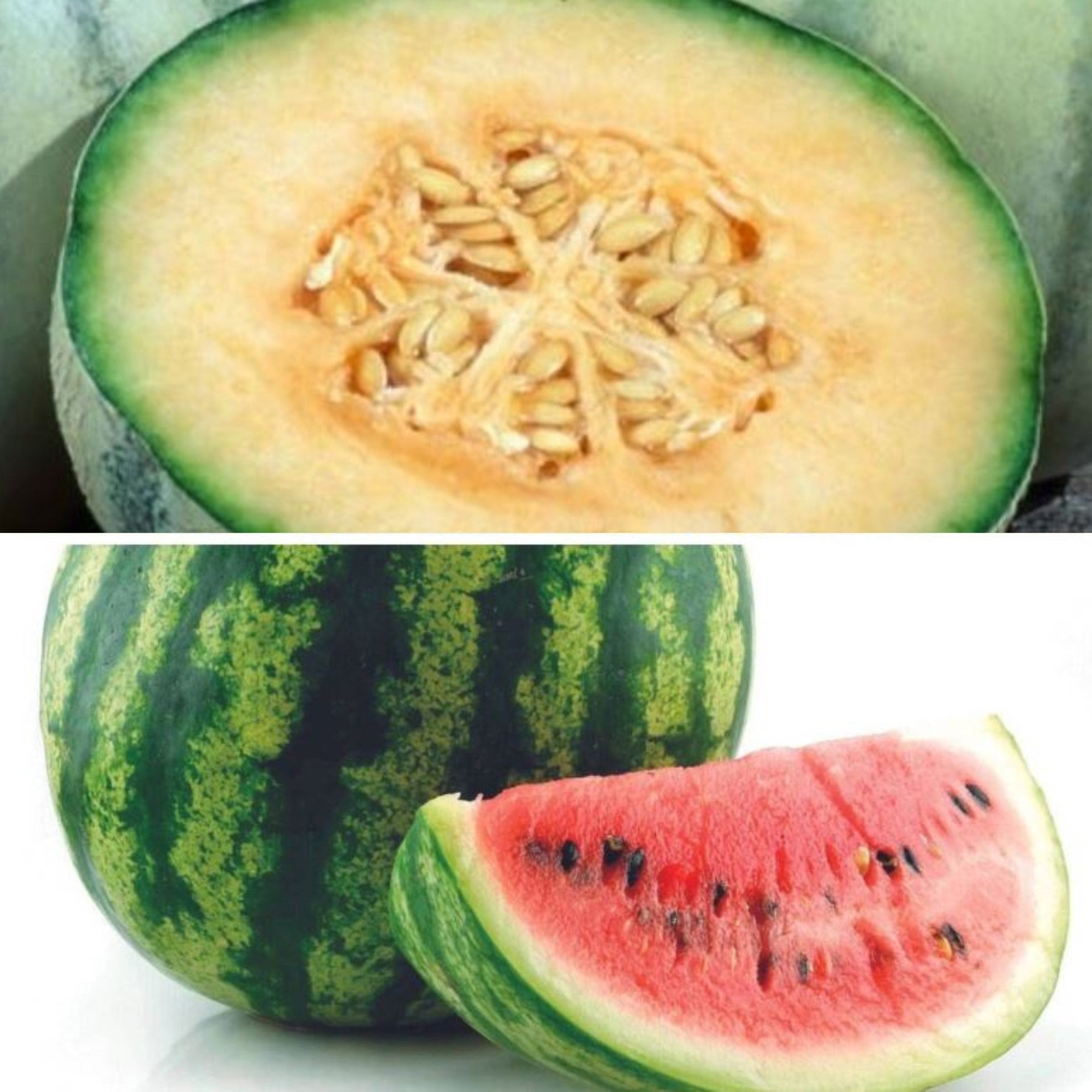 Melonen Variation