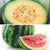 Melonen Variation