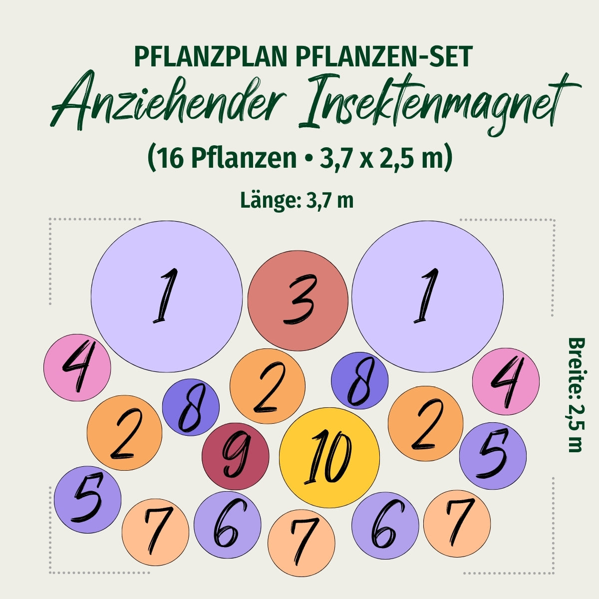 Staudenbeet "Anziehender Insektenmagnet"