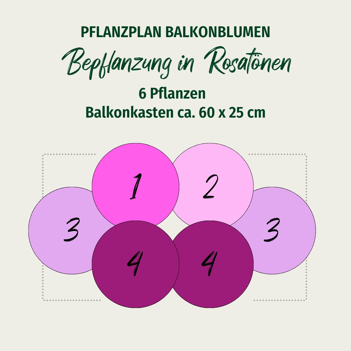 Balkonblumen "Bepflanzung in Rosatönen"