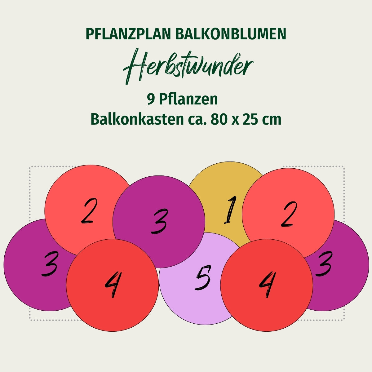 Balkonblumen "Herbstwunder"