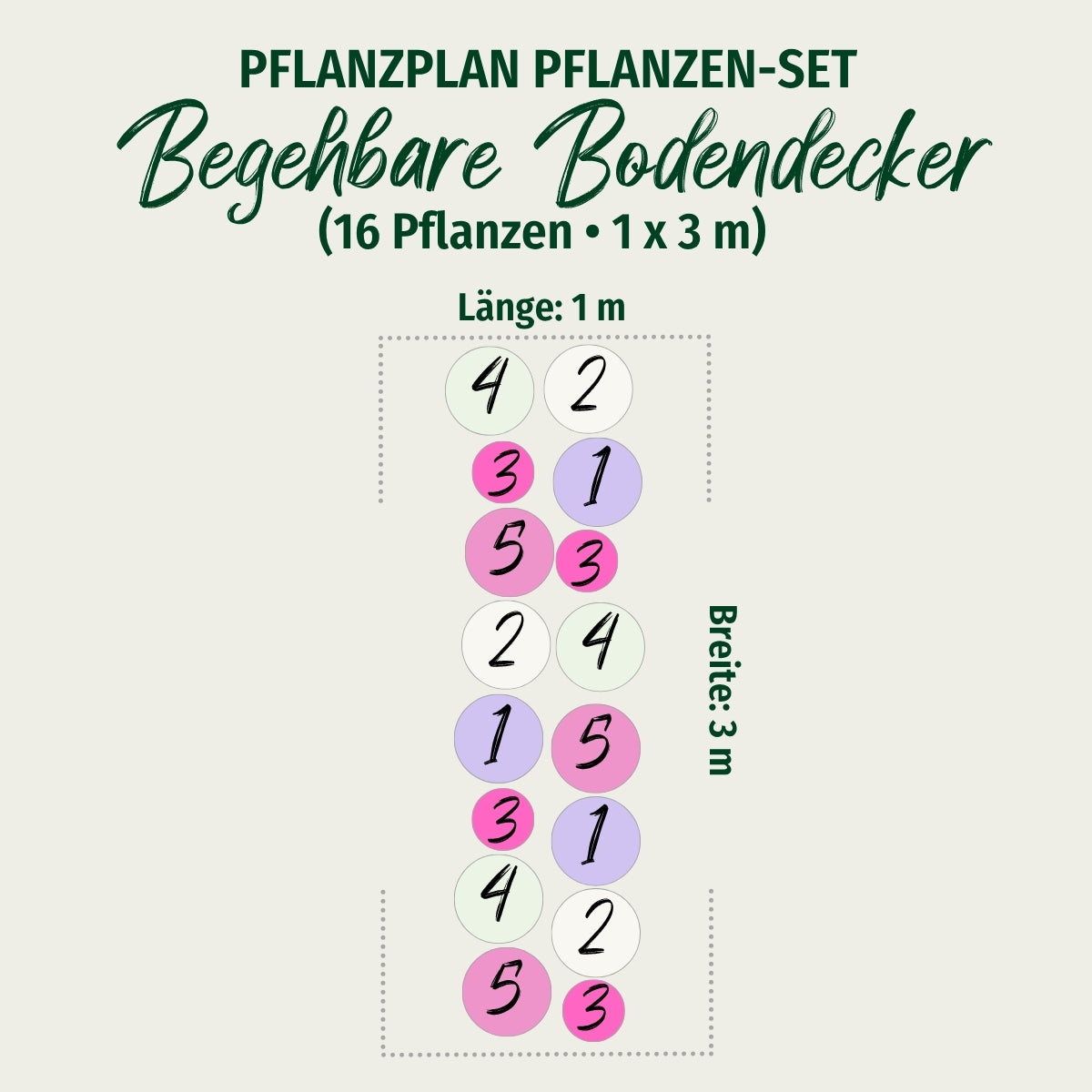 Bodendecker-Set "Begehbare Bodendecker"