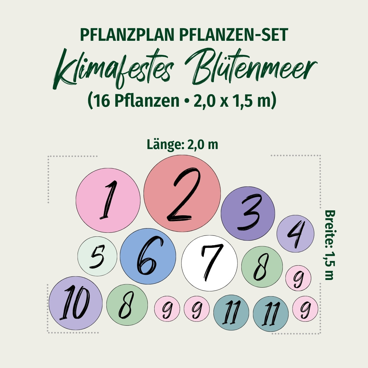 Staudenbeet "Klimafestes Blütenmeer"