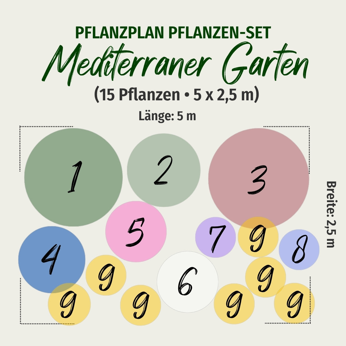 Pflanzen-Set "Mediterraner Garten"
