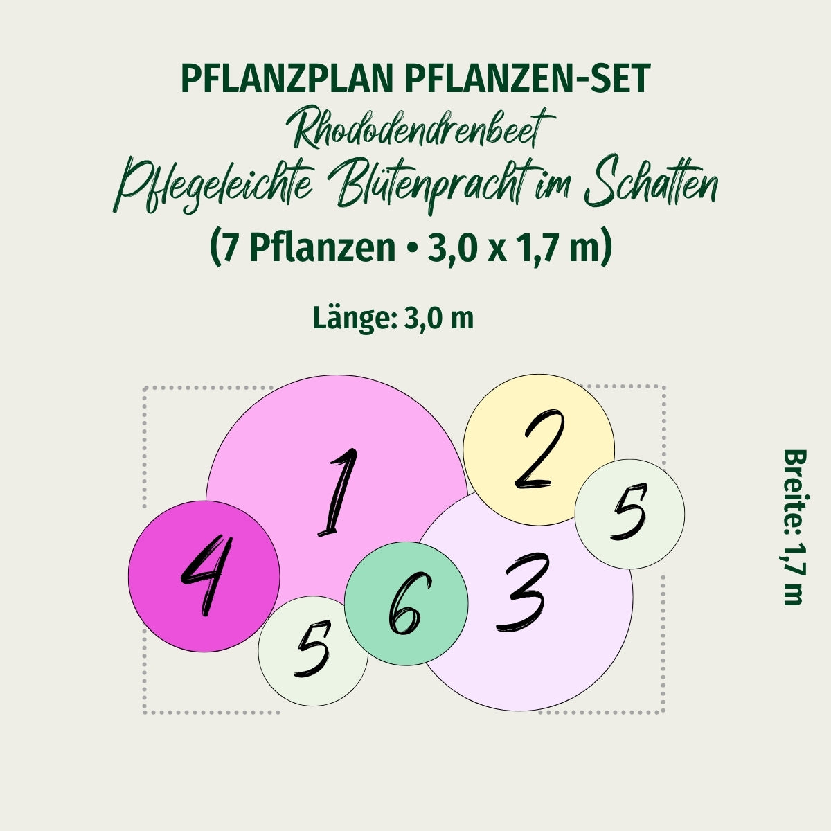 Rhododendronbeet "Pflegeleichte Blütenpracht im Schatten"