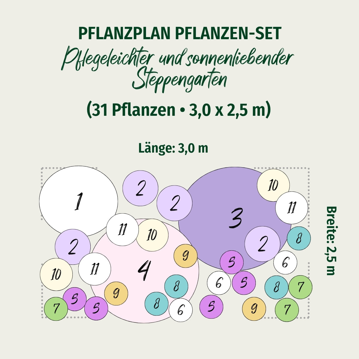 Pflanzen-Set "Pflegeleichter und sonnenliebender Steppengarten"