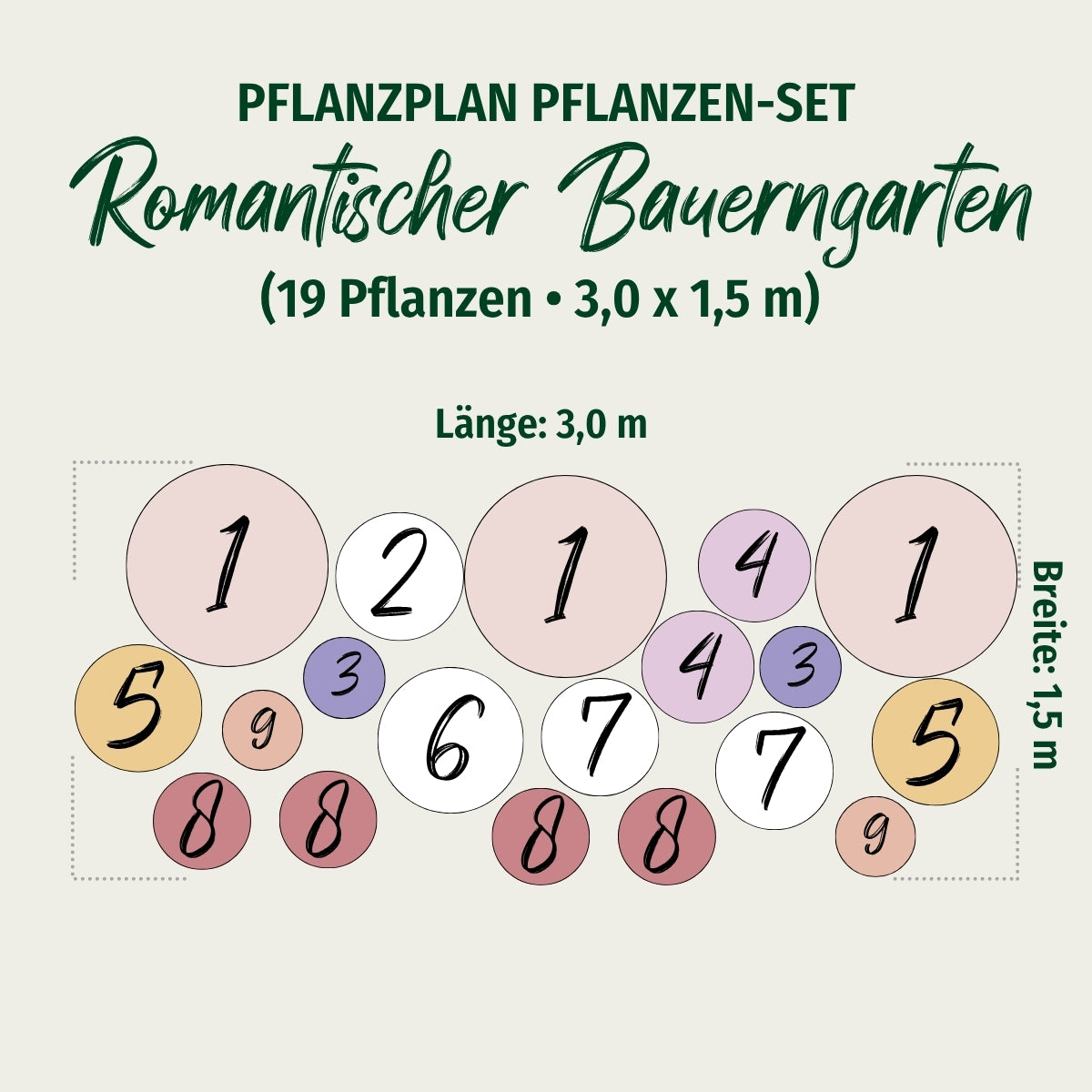 Staudenbeet "Romantischer Bauerngarten"