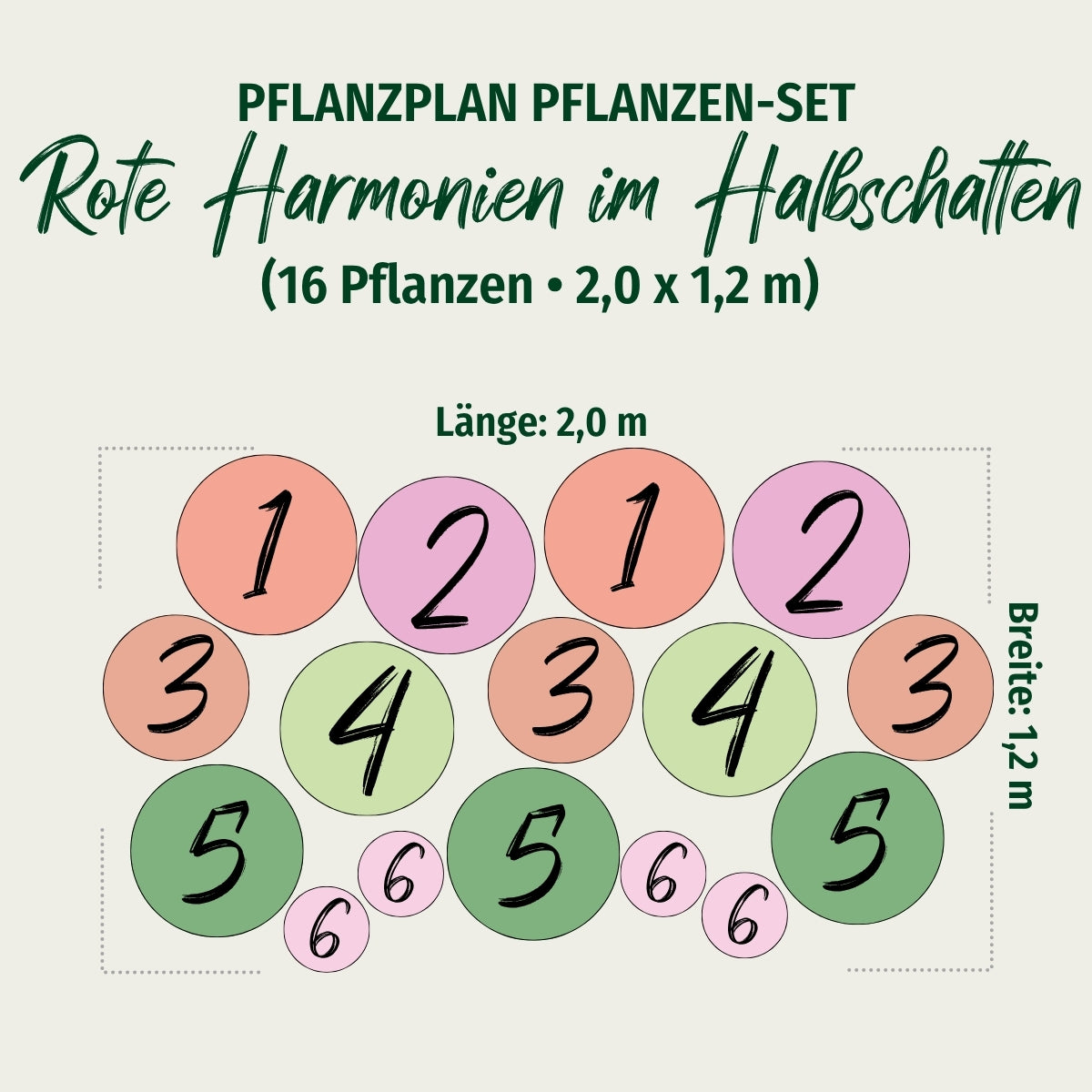 Staudenbeet "Rote Harmonien im Halbschatten"