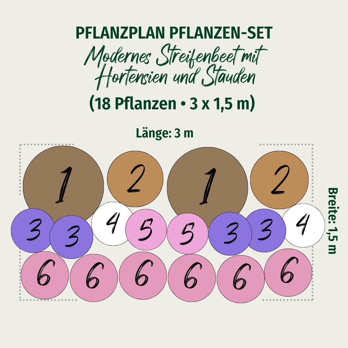 Pflanzen-Set "Modernes Streifenbeet mit Hortensien und Stauden"