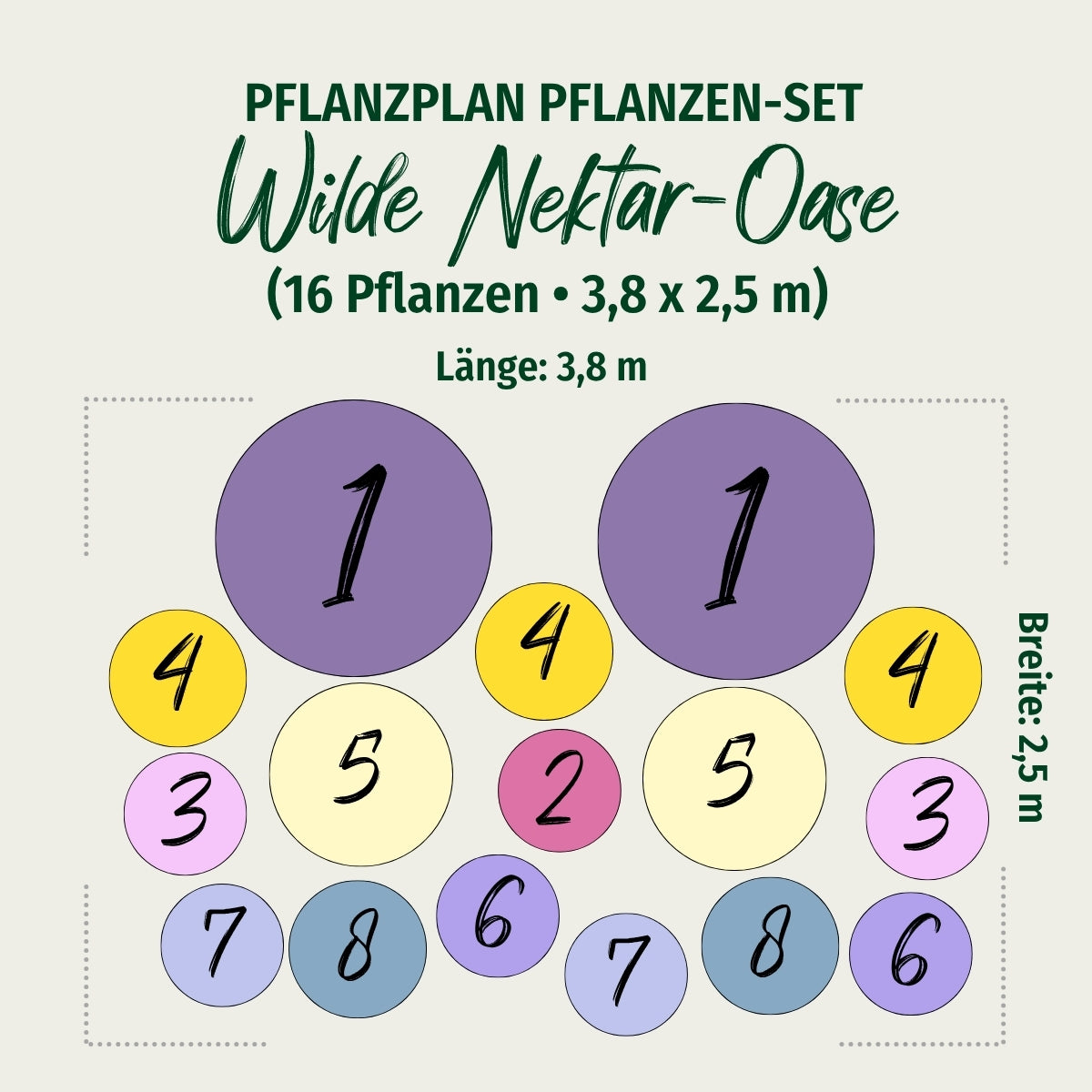 Staudenbeet "Wilde Nektar-Oase"