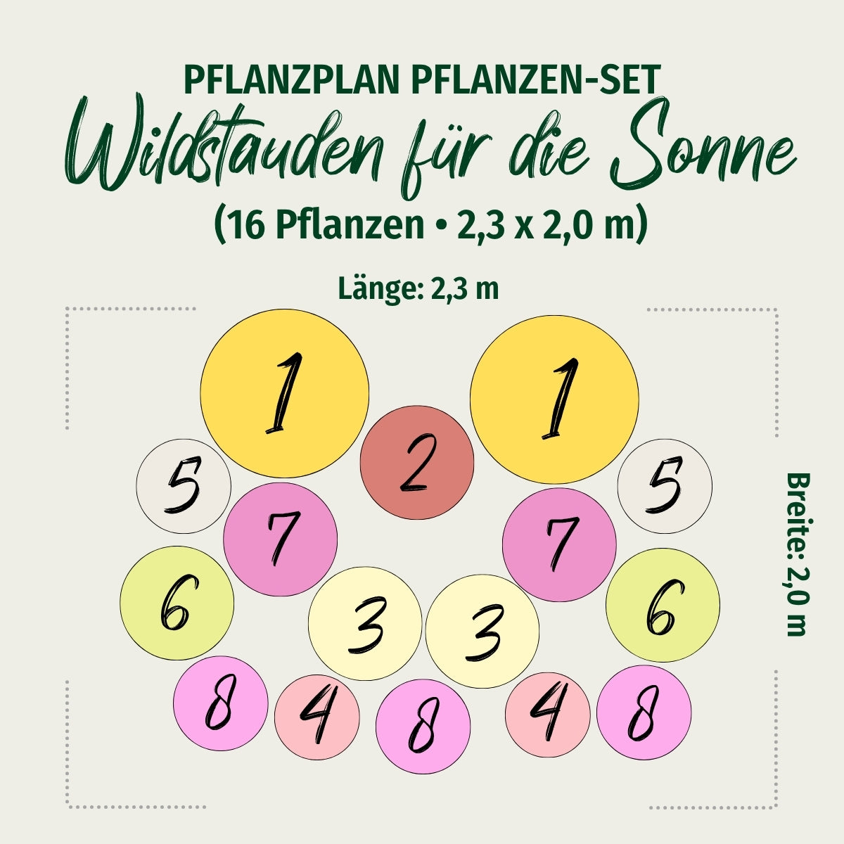 Staudenbeet "Wildstauden für die Sonne"