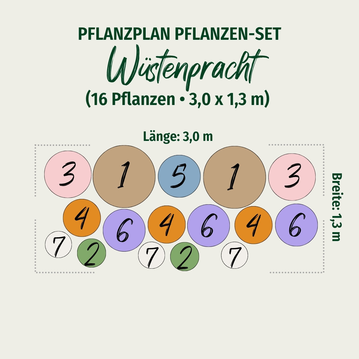 Gräser- und Staudenbeet "Wüstenpracht"