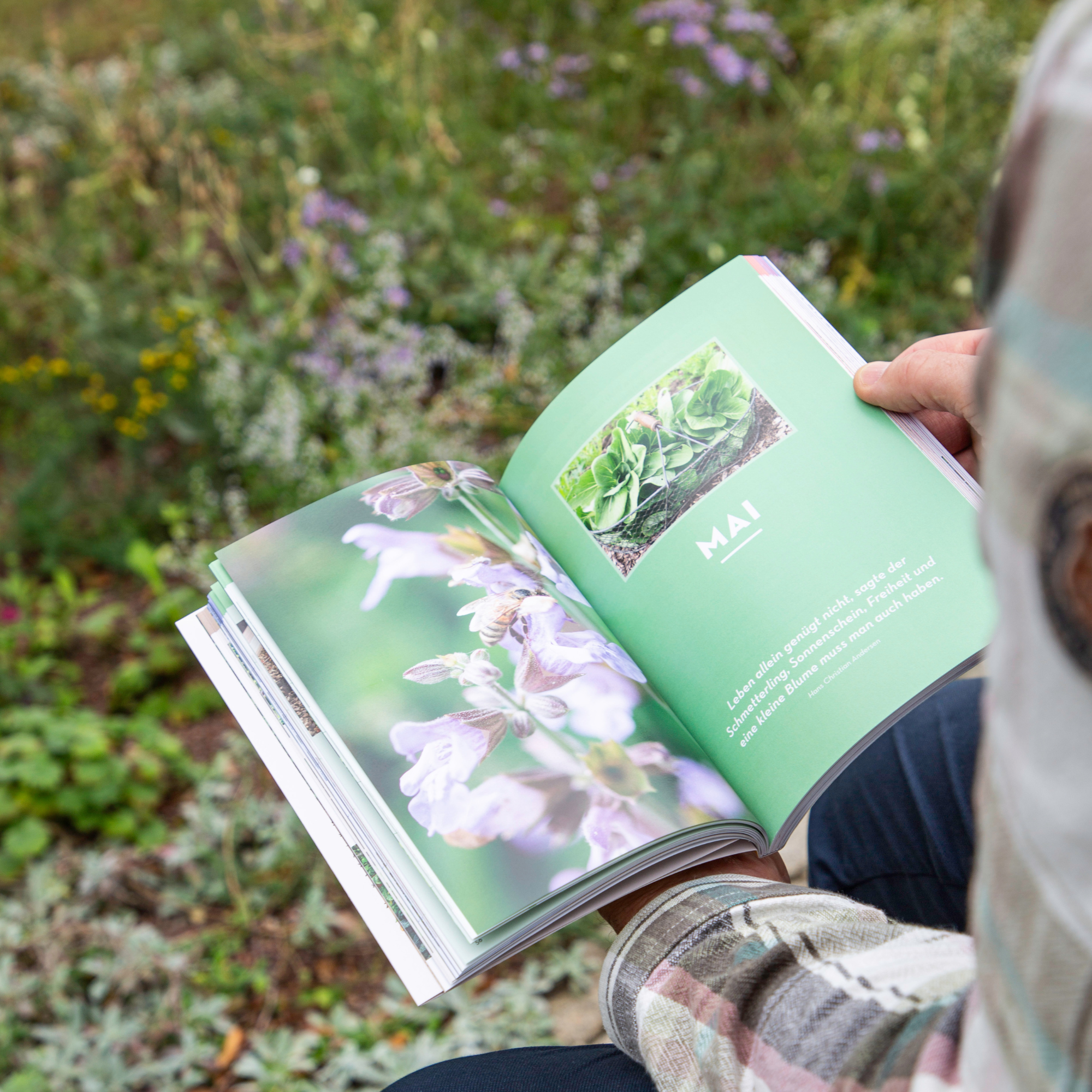 Mein schöner Garten Praxis-Kalender 2027