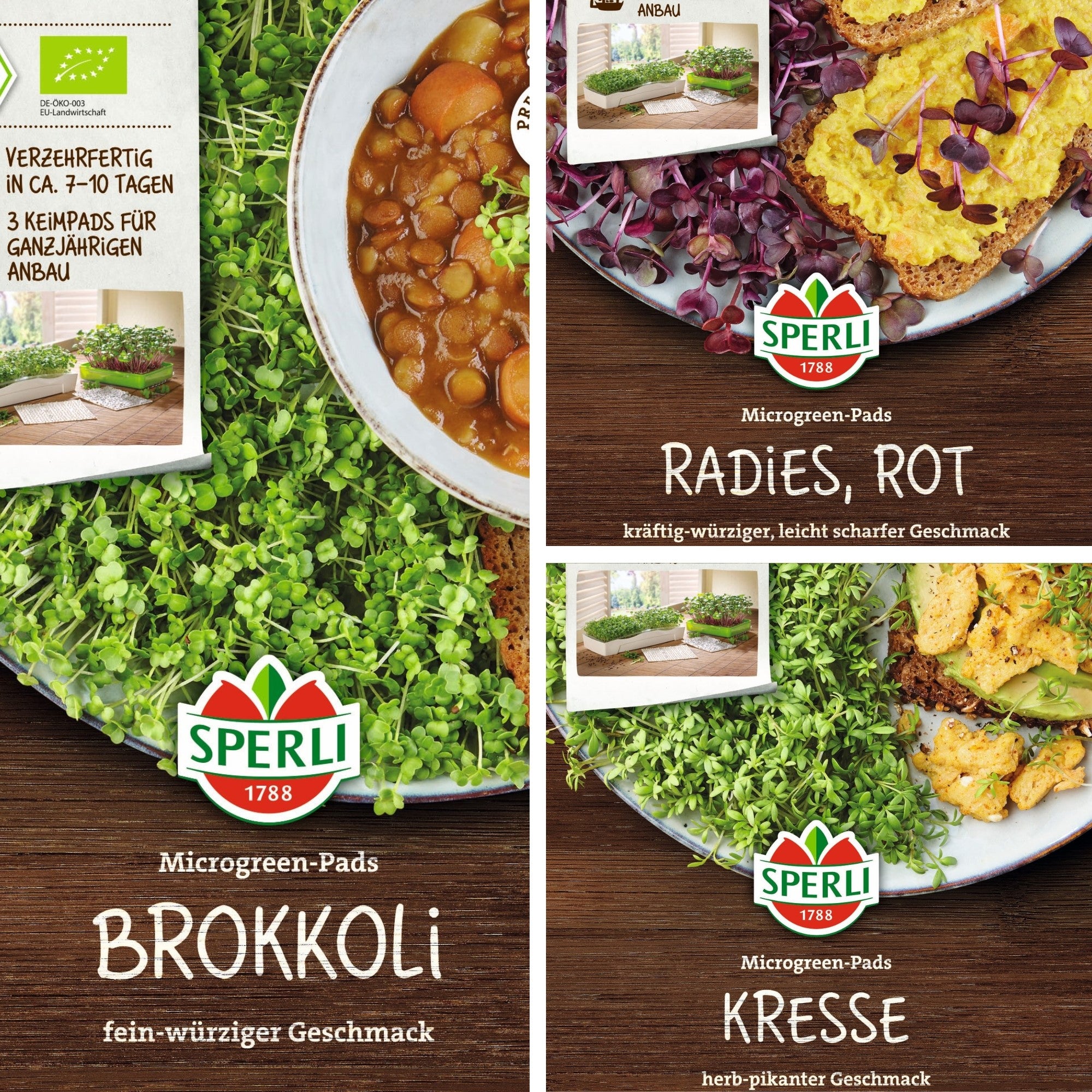 SPERLI Samen-Set "Bio-Sprossenvielfalt als Pads"