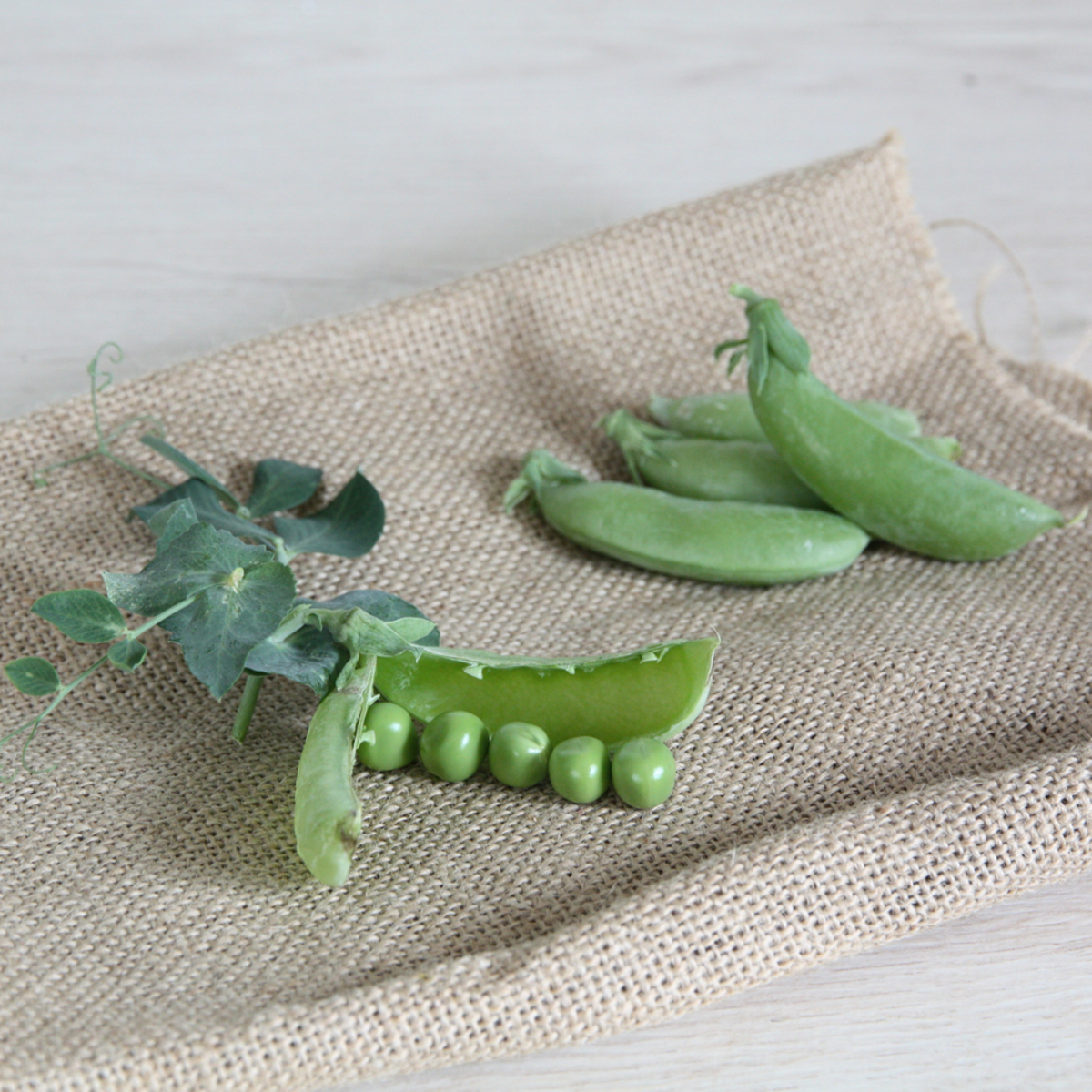 Bio Zuckererbse (Pisum sativum) - Grün | Bild 1