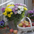 Dreifarbige Herbst-Chrysantheme - Bunt | Bild 1