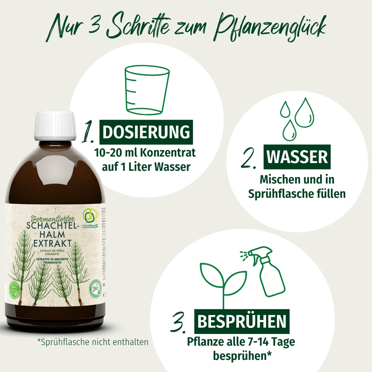 Multikraft Fermentierter Schachtelhalmextrakt