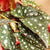 Forellenbegonie (Begonia maculata) - Grün - immergrün | Bild 2