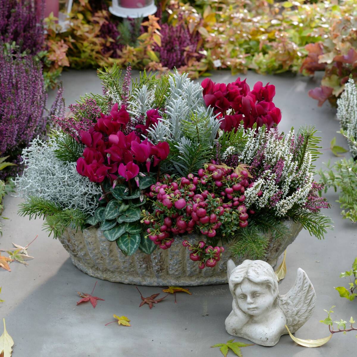 Grabbepflanzung "Rötlicher Herbst", 9 Pflanzen - Bunt | Bild 1