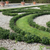 Japanischer Spindelstrauch 'Green Empire®' (Euonymus japonica 'Green Empire®') - Grün - immergrün - winterhart | Bild 1