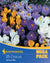 Mega-Pack "Gartenkrokusmischung", 25 Zwiebeln - Bunt - winterhart | Bild 1