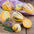 Pepino-Birnenmelone 'Copa®' (Solanum muricatum 'Copa®') - Grün | Bild 1