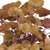 Purpurglöckchen, Braun (Heuchera Hybriden) - Braun - winterhart | Bild 2