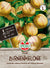 SPERLI Birnenmelone 'Pepino' - Bunt - winterhart | Bild 1