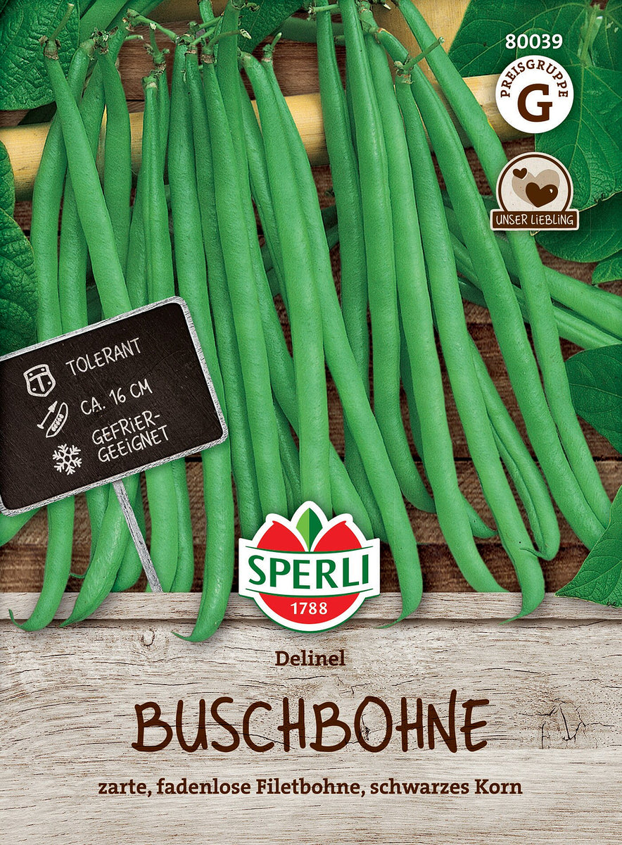 SPERLI Buschbohne 'Delinel' - Bunt | Bild 1