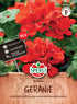 SPERLI Geranie 'Madeira' - Bunt - winterhart | Bild 1