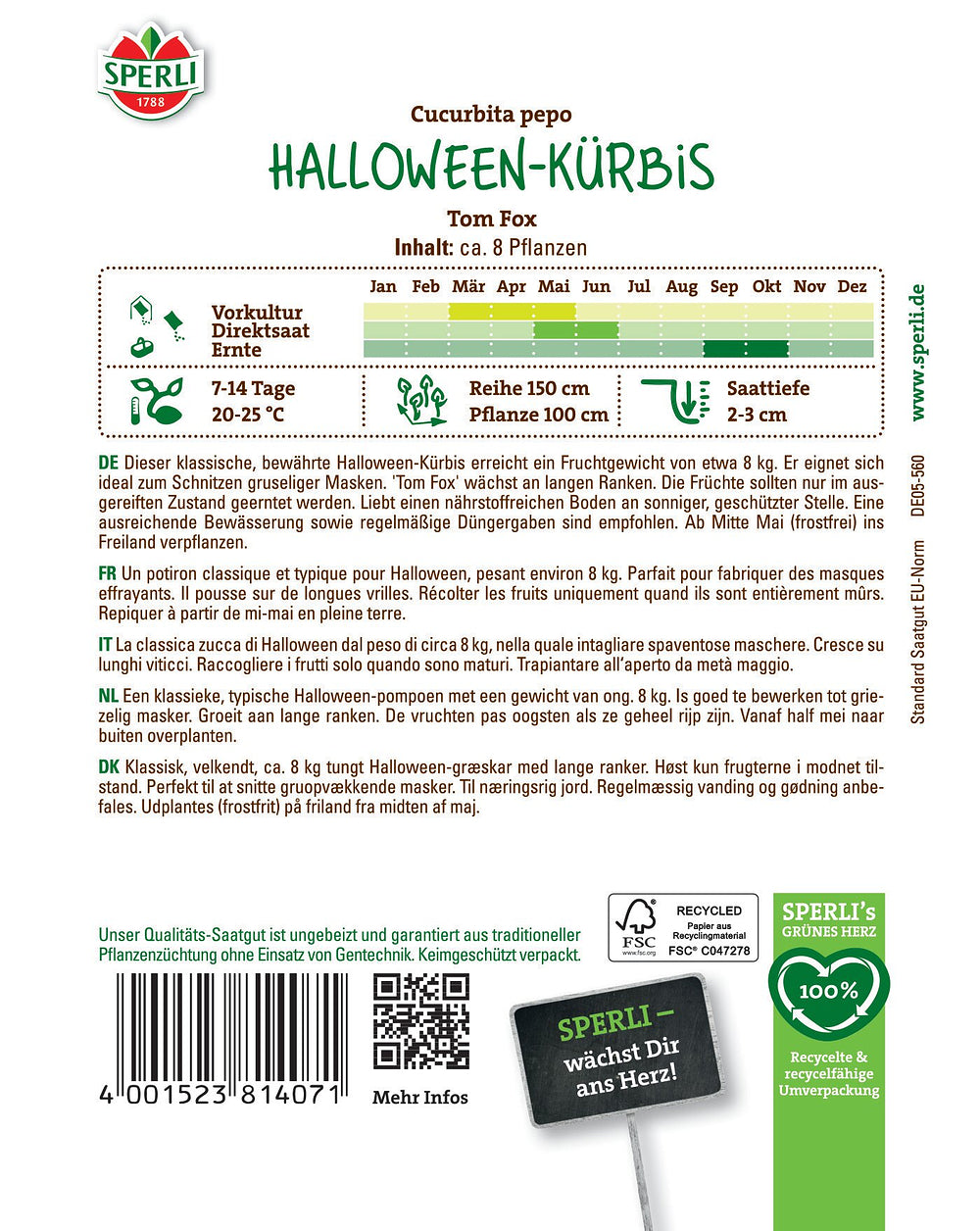 SPERLI Halloween-Kürbis Tom Fox - Bunt - winterhart | Bild 2