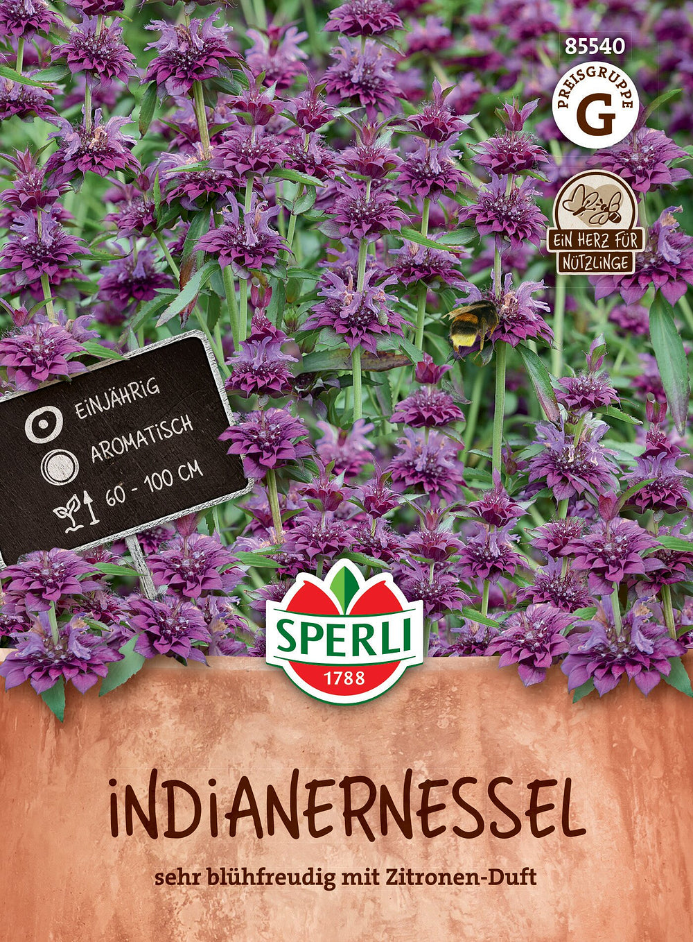 SPERLI Indianernessel - Bunt - winterhart | Bild 1
