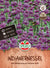 SPERLI Indianernessel - Bunt - winterhart | Bild 1