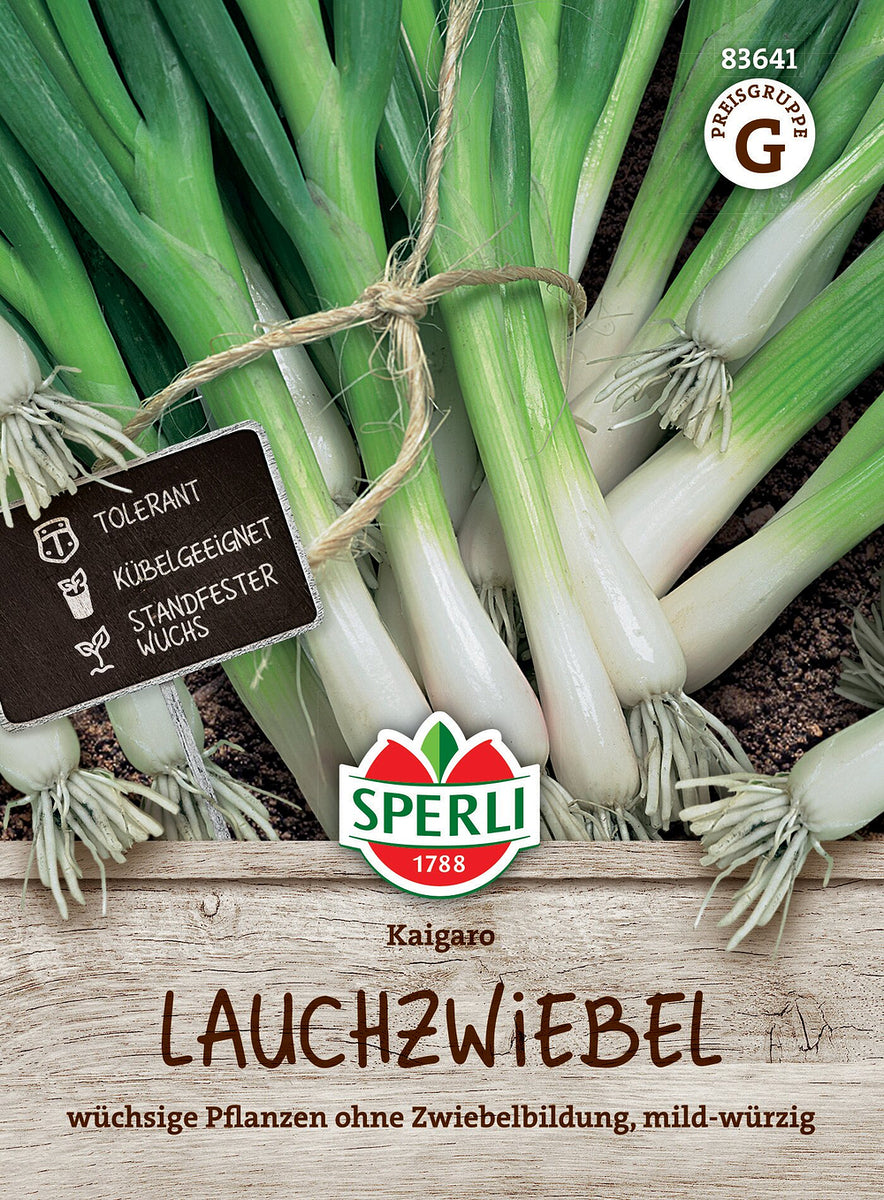 SPERLI Lauchzwiebel 'Kaigaro' - Bunt - winterhart | Bild 1