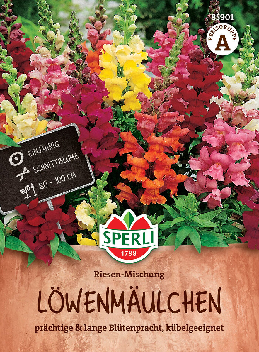 SPERLI Löwenmäulchen "Riesen Mischung" - Bunt - winterhart | Bild 1