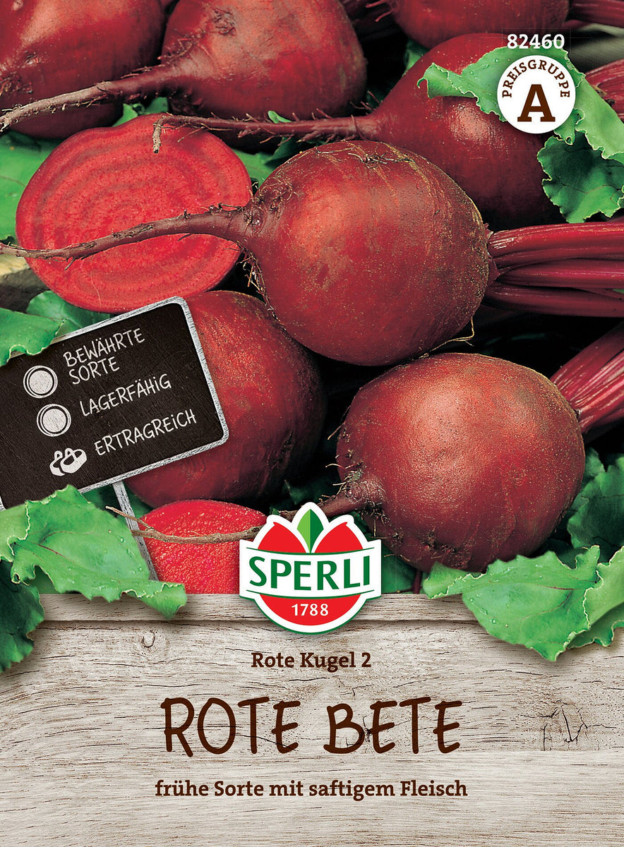 SPERLI Rote Bete 'Rote Kugel 2' - Bunt | Bild 1