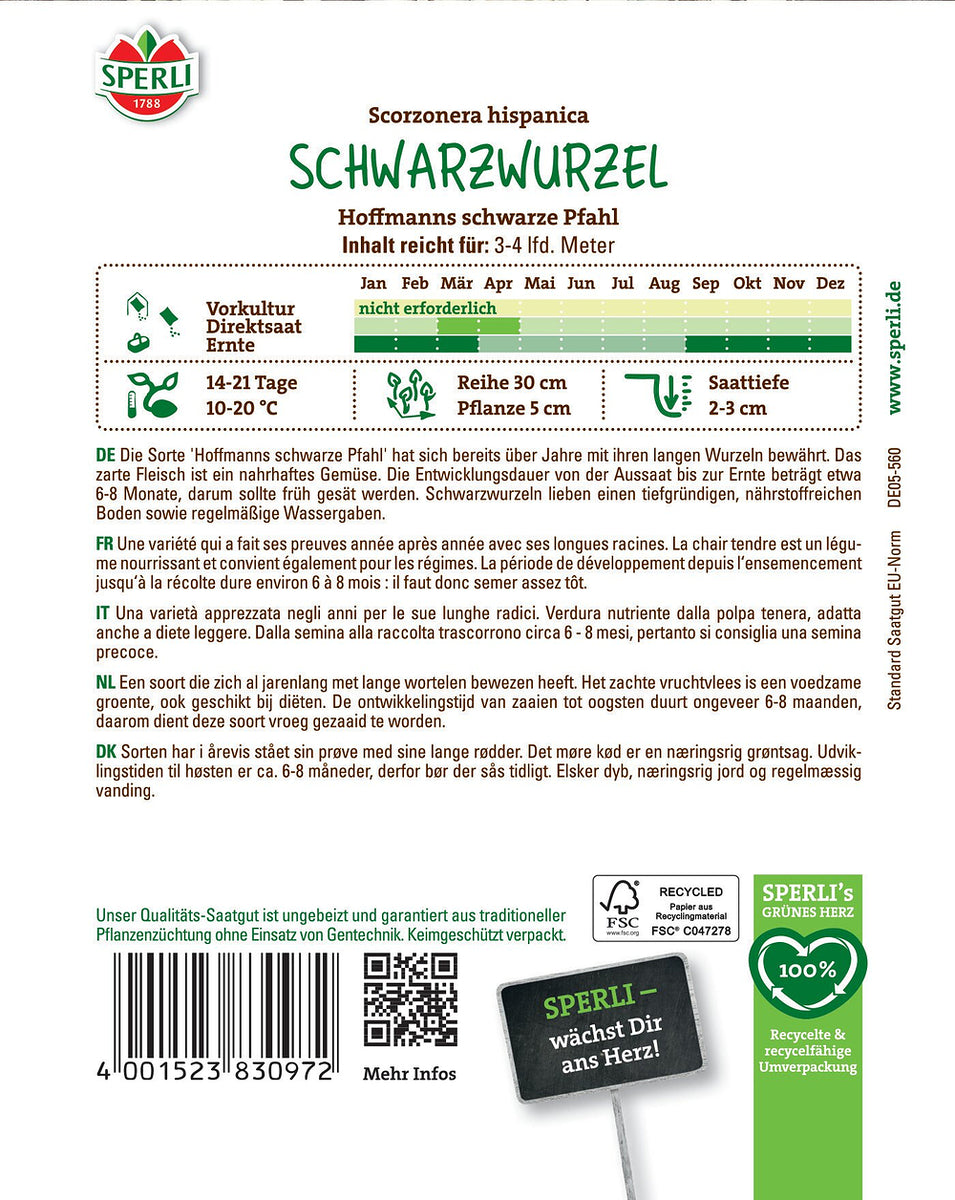 SPERLI Schwarzwurzel Hoffmanns schwarze Pfahl - Bunt - winterhart | Bild 2