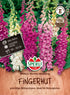 SPERLI SPERLI's Fingerhut 'Mervita Mischung' - Bunt - winterhart | Bild 1