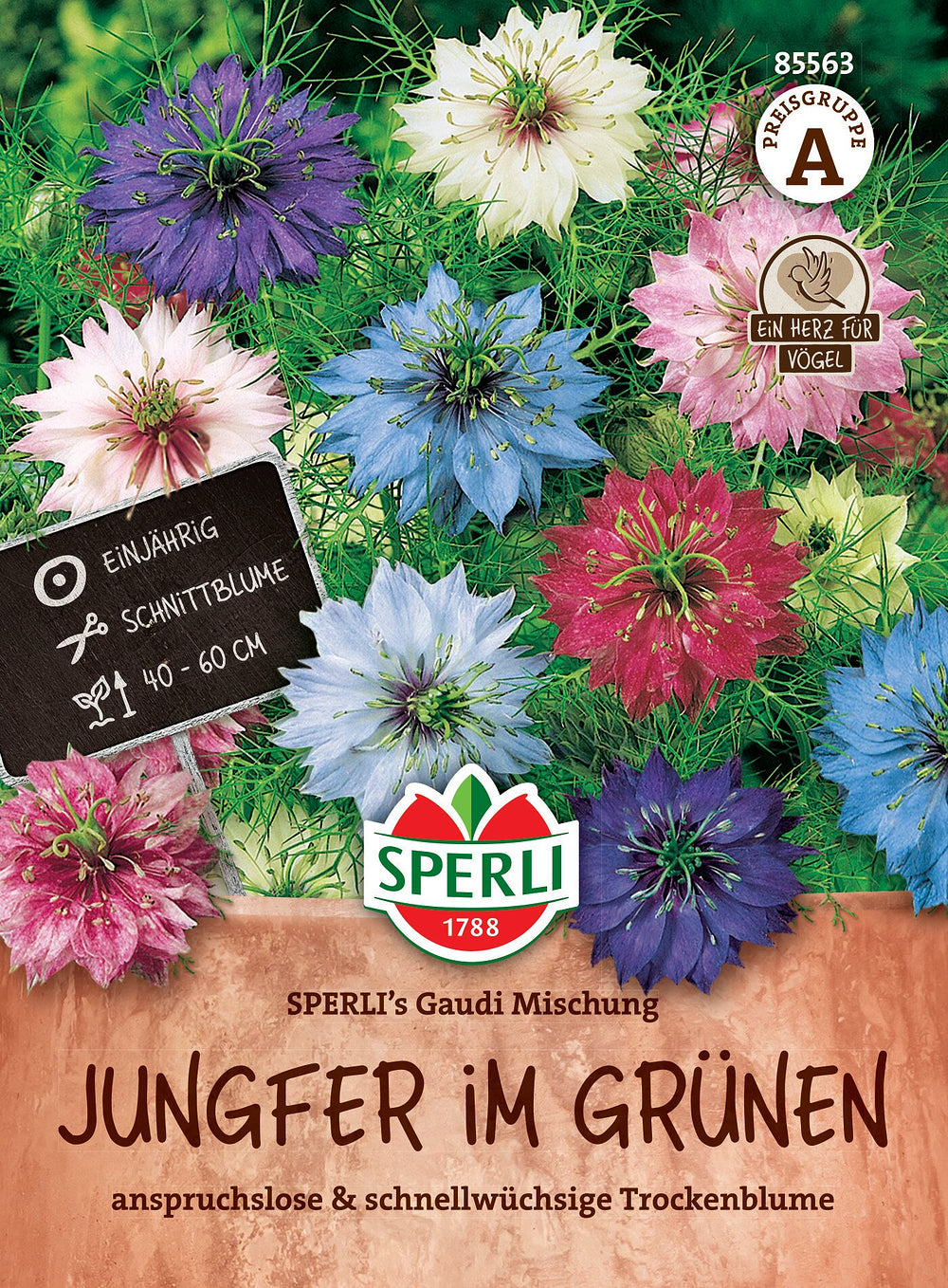 SPERLI SPERLI's Jungfer im Grünen "Gaudi Mischung" - Bunt - winterhart | Bild 1