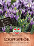 SPERLI SPERLI's Lavendel 'Kronjuwel' - Bunt - winterhart | Bild 1