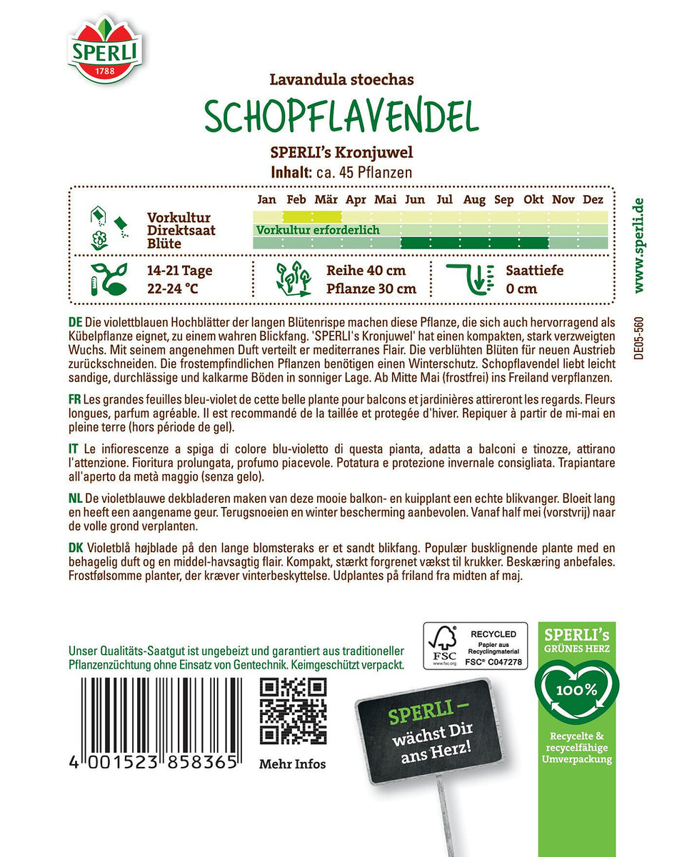 SPERLI SPERLI's Lavendel 'Kronjuwel' - Bunt - winterhart | Bild 2