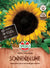 SPERLI SPERLI's Sonnenblume 'King Kong' - Bunt - winterhart | Bild 1