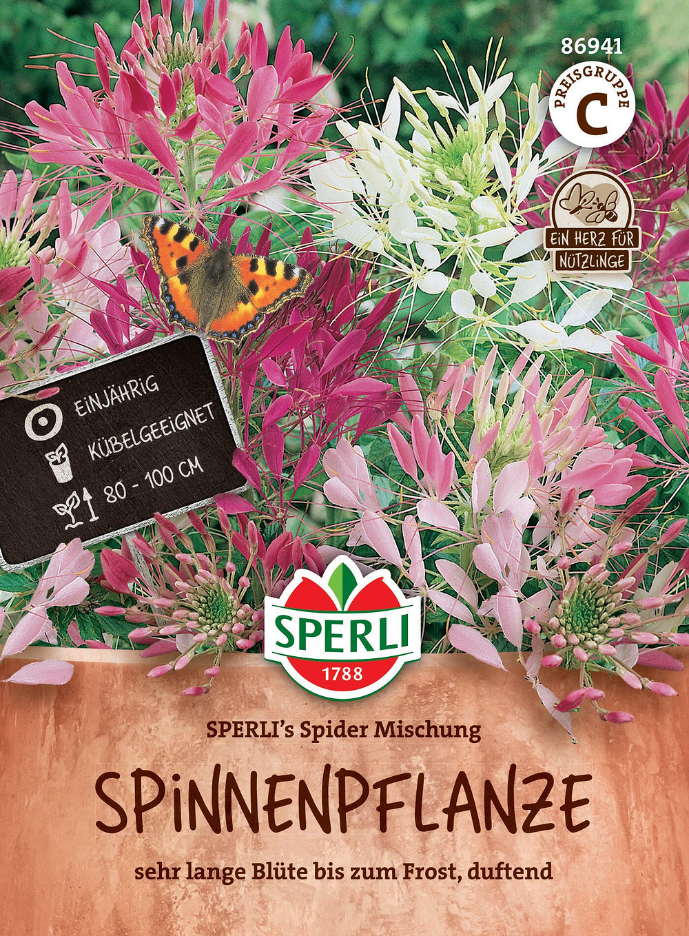 SPERLI SPERLI's Spinnenpflanze "Spider Mischung" - Bunt - winterhart | Bild 1