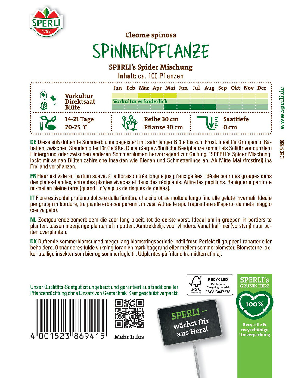 SPERLI SPERLI's Spinnenpflanze "Spider Mischung" - Bunt - winterhart | Bild 2